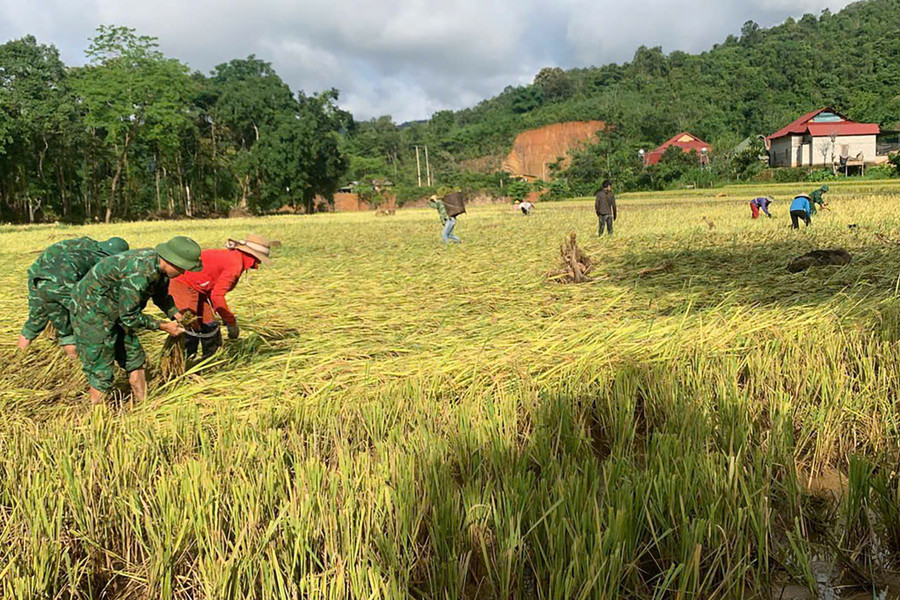 Trước đó, đêm 29 đến sáng 30/5, nhiều bản làng ở xã Nhôn Mai xảy ra lũ ống, lũ quét. d8789ddf91c2259c7cd3.jpg