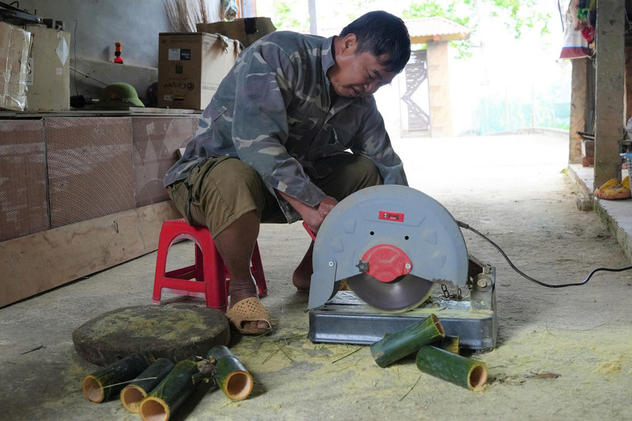 Cưa thân cây tre, nứa làm thức ăn cho dúi. nuoi-dui-2.jpg