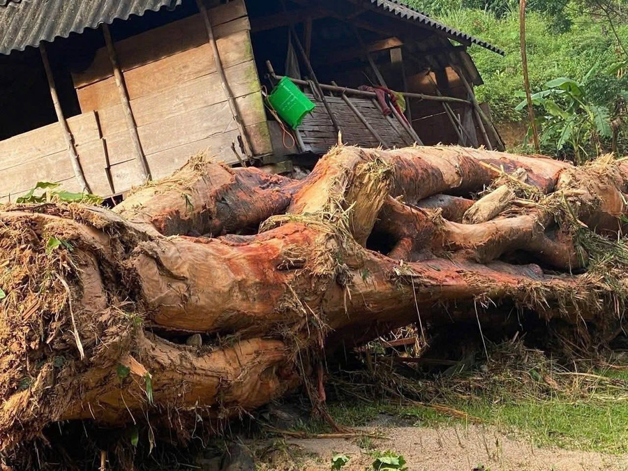 Trong sáng 30/5, lãnh đạo huyện Tương Dương cùng các đơn vị đã xuống hiện trường kiểm tra, hỗ trợ người dân khắc phục hậu quả của lũ quét. 502141262-24054935587527612-6216778818070524650-n.jpg