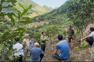 Ông Nguyễn Văn Bách - Chủ tịch UBND xã Pú Nhung (đứng giữa) tuyên truyền cho nhân dân tại thực địa.