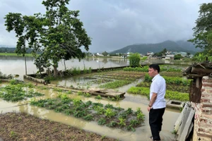 Ông Phạm Thiết Chùy - Chủ tịch UBND xã Sam Mứn đi kiểm tra, chỉ đạo nhân dân chống ngập.