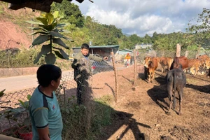 Bài toán phòng ngừa tái nghèo được đặt ra như một yêu cầu song hành với hỗ trợ phát triển sinh kế, trong đó trợ giúp pháp lý giữ vai trò quan trọng.