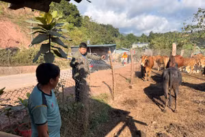 Bài toán phòng ngừa tái nghèo được đặt ra như một yêu cầu song hành với hỗ trợ phát triển sinh kế, trong đó trợ giúp pháp lý giữ vai trò quan trọng.