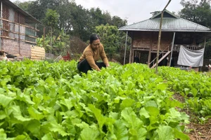 Câu chuyện giảm nghèo những năm gần đây không chỉ gắn với việc được hỗ trợ gì, mà quan trọng hơn là người dân hiểu và sử dụng chính sách như thế nào.