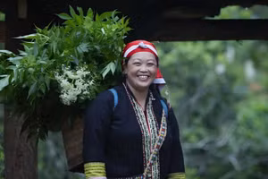 Bà Tẩn Tả Mẩy, Giám đốc Hợp tác xã Cộng đồng Dao đỏ tại xã Tả Phìn, tỉnh Lào Cai.