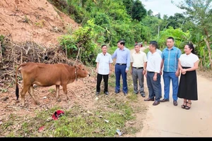 Trao bò giống hỗ trợ cho gia đình có hoàn cảnh khó khăn trên địa bàn xã Mường Tùng.