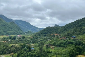 Thực tiễn ở xã Mường Tùng cho thấy, chính sự rõ ràng, minh bạch của thông tin là yếu tố then chốt giúp chính sách đi vào đời sống, tạo dựng niềm tin và sự đồng thuận trong cộng đồng.