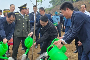 Chủ tịch nước Lương Cường cùng lãnh đạo tỉnh Lào Cai trồng cây lưu niệm tại Công viên Văn hóa Lào Cai.