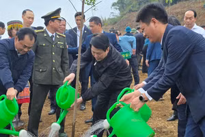 Chủ tịch nước Lương Cường cùng lãnh đạo tỉnh Lào Cai trồng cây lưu niệm tại Công viên Văn hóa Lào Cai.