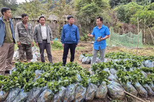 Xã Tìa Dình luôn quan tâm ưu tiên nguồn vốn đầu tư từ các chương trình, dự án, tạo sinh kế cho người dân.