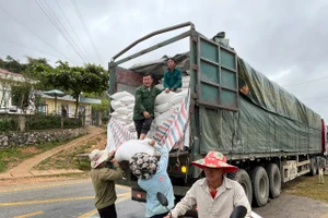 Nhân dân vùng cao tiếp nhận gạo hỗ trợ từ nguồn dự trữ quốc gia.