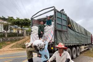 Nhân dân vùng cao tiếp nhận gạo hỗ trợ từ nguồn dự trữ quốc gia.