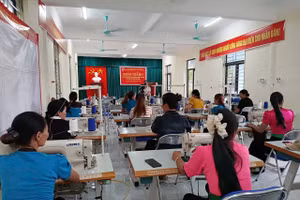 Mỗi lớp dạy nghề đều được trung tâm khảo sát kỹ lưỡng, sát sinh kế, việc làm và thị trường lao động.