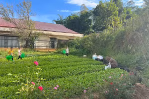 Các trường vùng cao rèn kỹ năng sống cho học sinh.