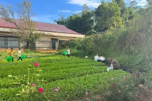 Các trường vùng cao rèn kỹ năng sống cho học sinh.