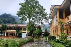 Một góc sân trường.