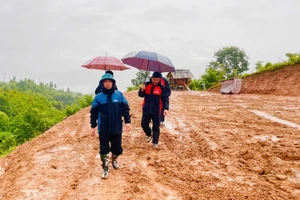 Ông Lê Quang Trinh - Chủ tịch UBND xã Si Pa Phìn (người đi đầu) kiểm tra công tác phòng chống mưa lũ.