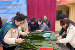 Hội viên phụ nữ tham gia thi gói bánh chưng xanh.