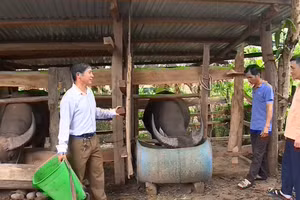 Ông Sùng Vảng Say (bên trái) là tấm gương điển hình trong phát triển kinh tế gia đình.