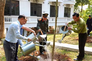 Các đại biểu tham gia trồng cây.