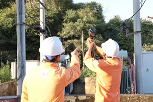 Nhân viên PC Điện Biên kiểm tra thông số kỹ thuật trên đường dây trung áp nhằm kịp thời phát hiện nguy cơ sự cố, bảo đảm cung cấp điện an toàn và liên tục cho người dân.