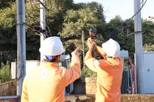 Nhân viên PC Điện Biên kiểm tra thông số kỹ thuật trên đường dây trung áp nhằm kịp thời phát hiện nguy cơ sự cố, bảo đảm cung cấp điện an toàn và liên tục cho người dân.