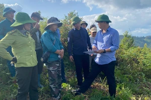 Cán bộ xã Chiềng Sinh làm việc tại cơ sở.