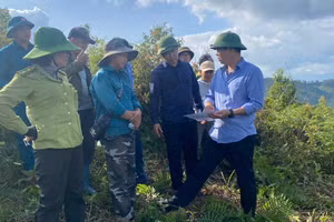 Cán bộ xã Chiềng Sinh làm việc tại cơ sở.