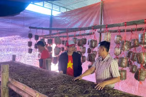 Lớp đào tạo nghề nuôi trồng nấm do Sở LĐTB&XH tỉnh Điện Biên (cũ) thực hiện tại xã Sín Thầu.