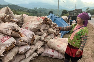 Ngày càng nhiều phụ huynh hiểu rằng, để con có cuộc sống ổn định, phải bắt đầu từ nền tảng tri thức.