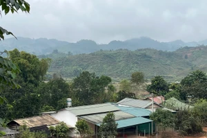 Nhiều gia đình đã từng bước xây dựng được mô hình sản xuất bền vững.