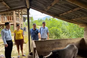 Đoàn công tác xã Nậm Nèn thăm, kiểm tra mô hình chuồng trại của nhân dân.