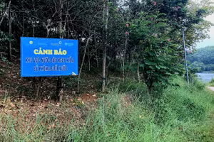 Hồ Thác Bà đã được cắm nhiều biển cảnh báo "khu vực nước sâu, nguy hiểm, đề phòng đuối nước" nhưng vẫn xảy ra những vụ tai nạn thương tâm.