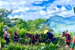 Giáo viên cùng phụ huynh tu sửa cơ sở vật chất.