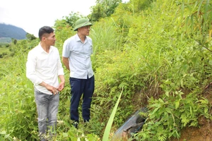 Ông Đinh Quang Bạo, Chủ tịch UBND xã Pu Nhi (bên phải) kiểm tra thực tế tại địa bàn.