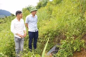 Ông Đinh Quang Bạo, Chủ tịch UBND xã Pu Nhi (bên phải) kiểm tra thực tế tại địa bàn.