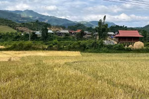 Từ việc chú trọng công tác tuyên truyền chính sách ở Mường Nhà đã góp phần nâng cao nhận thức cho nhân dân địa phương.