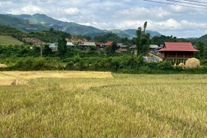 Từ việc chú trọng công tác tuyên truyền chính sách ở Mường Nhà đã góp phần nâng cao nhận thức cho nhân dân địa phương.