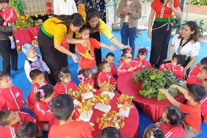 Tiết trải nghiệm của cô trò nhà trường.