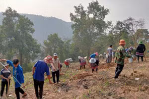 Một buổi thực hành ngoài thực địa của các học viên.