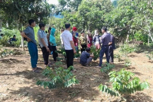 Giáo dục nghề nghiệp được tổ chức theo hướng sát với nhu cầu của người dân.