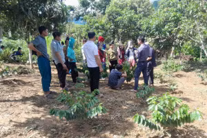 Giáo dục nghề nghiệp được tổ chức theo hướng sát với nhu cầu của người dân.