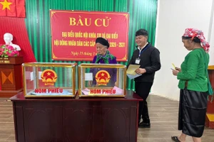 Người dân thôn Làng Nủ hồ hởi tham gia bầu cử bầu đại biểu Quốc hội khóa XVI và đại biểu Hội đồng nhân dân các cấp nhiệm kỳ 2026 - 2031.