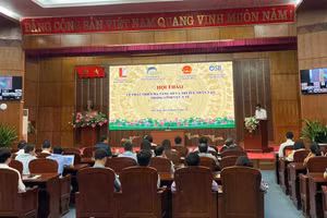 Toàn cảnh hội thảo.