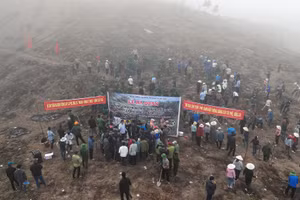 Toàn cảnh lễ phát động tại xã Sín Thầu.