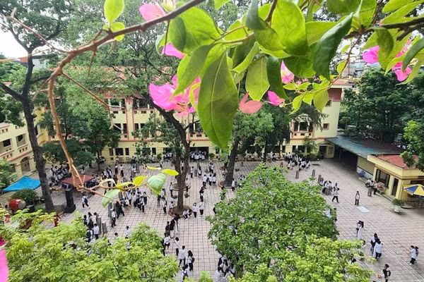 Nhiều trường học bố trí không gian xanh để học sinh có thể vui chơi sau những giờ học căng thẳng.