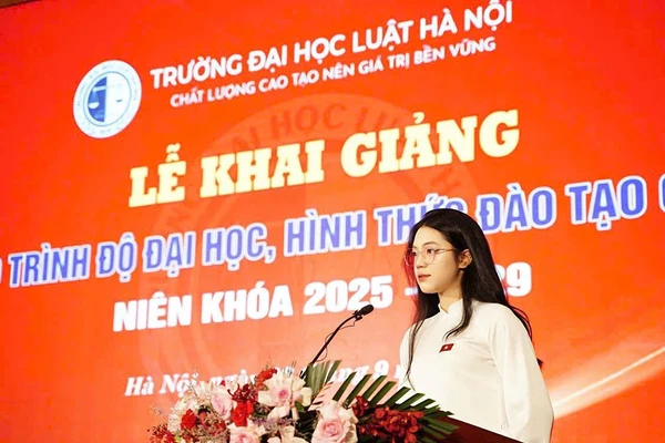 Nguyễn Bảo An cựu học sinh Trường THPT Anh Sơn (Nghệ An).