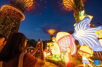 xem-the-gioi-tung-bung-don-trung-thu-singapore-5.jpg
