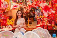 xem-the-gioi-tung-bung-don-trung-thu-vietnam-17.jpg