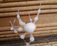 zombie-spiders-6.jpg
